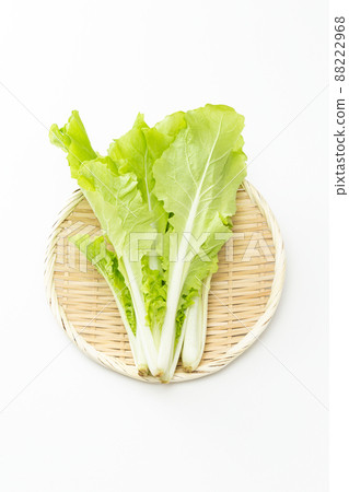 Shandong greens white background Shandong greens white background 88222968