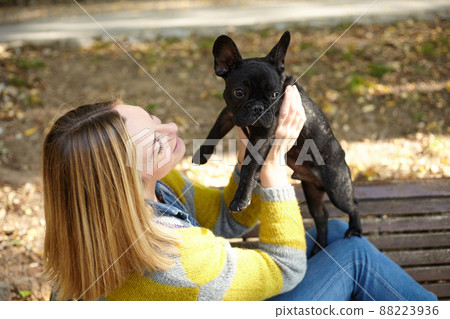 woman sitting on a bench with french bulldog woman sitting on a bench with french bulldog 88223936