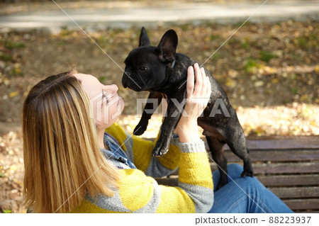 woman sitting on a bench with french bulldog woman sitting on a bench with french bulldog 88223937