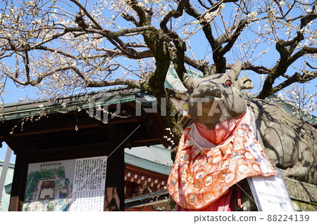 Kitano Tenmangu Shrine Kyoto Beef Kitano Tenmangu Shrine Kyoto Beef 88224139