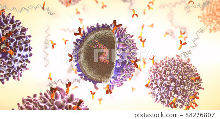 Genetically engineered chimeric antigen receptor immune cell with implanted mrna gene strand - 3d illustration Genetically engineered chimeric antigen receptor immune cell with implanted mrna gene strand - 3d illustration 88226807