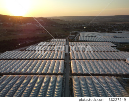 Aerial drone view of huge areas greenhouse for growing vegetables. Greenhouse farming, agriculture industry. Flying over large industrial greenhouses at sunset. 88227249