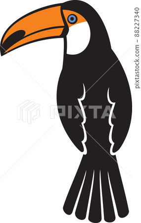Beautiful Toucan bird color vector illustration Beautiful Toucan bird color vector illustration 88227340