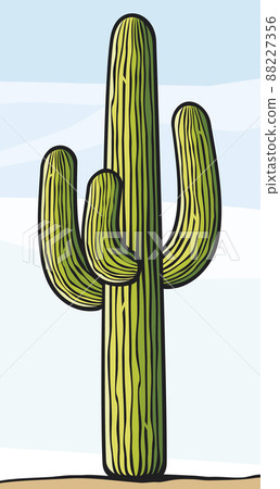 Cactus vector illustration Cactus vector illustration 88227356