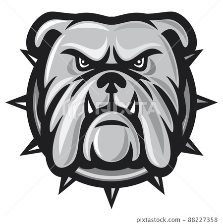 Angry bulldog head vector illustration Angry bulldog head vector illustration 88227358