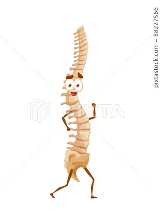 Human funny cartoon spine character, vector funny healthy backbone running exercises. Vertebra healthy lifestyle, sport, workout training. Chine anatomical personage, isolated skeleton spinal cord run Human funny cartoon spine character, vector funny healthy backbone running exercises. Vertebra healthy lifestyle, sport, workout training. Chine anatomical personage, isolated skeleton spinal cord run 88227566