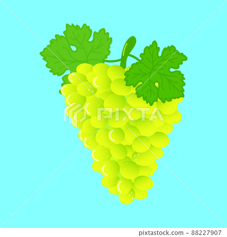 Funny cute happy grape characters bundle set. Vector hand drawn doodle style cartoon character illustration icon design. Cute happy grape mascot character collection Funny cute happy grape characters bundle set. Vector hand drawn doodle style cartoon character illustration icon design. Cute happy grape mascot character collection 88227907