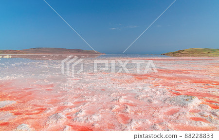 Brine and salt of a pink lake Koyash colored by microalgae Dunaliella salina, famous for its antioxidant properties, enriching water by beta-carotene, used in medicine and spa. cape Opuk, Kerch Crimea Brine and salt of a pink lake Koyash colored by microalgae Dunaliella salina, famous for its antioxidant properties, enriching water by beta-carotene, used in medicine and spa. cape Opuk, Kerch Crimea 88228833