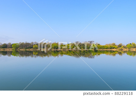(Saitama Prefecture) Spring scene, Saiko / Doman Green Park (Saitama Prefecture) Spring scene, Saiko / Doman Green Park 88229118