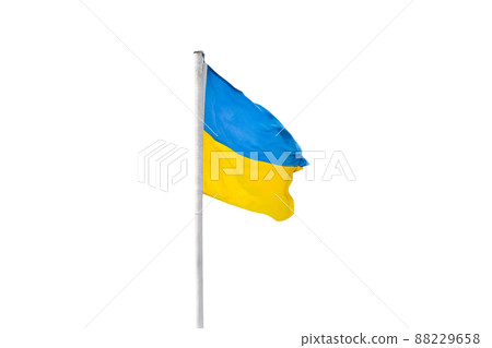 Flag of Ukraine or Ukrainian flag isolated on white background 88229658