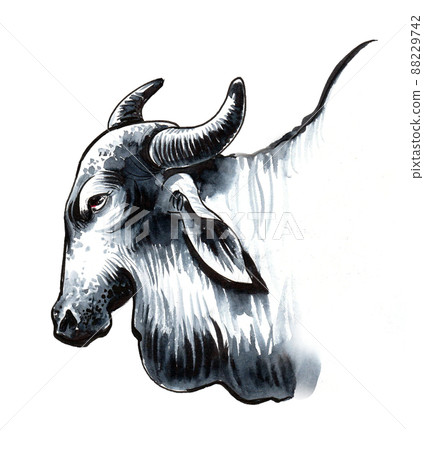 Indian cow head. Ink black and white drawing 88229742