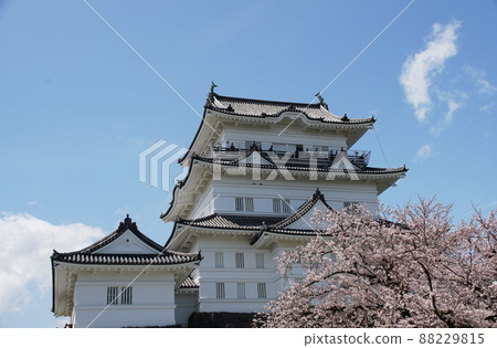 小田原城堡小田原城堡 小田原城堡小田原城堡 88229815