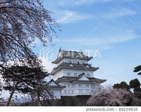 小田原城堡小田原城堡 小田原城堡小田原城堡 88229816