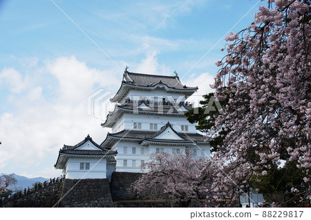 小田原城堡小田原城堡 小田原城堡小田原城堡 88229817
