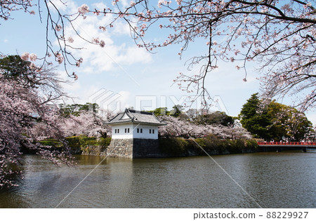 Odawara Castle Odawara Castle Odawara Castle Odawara Castle 88229927