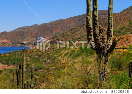 Desert Lake Bridge Desert Lake Bridge 88230258