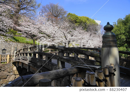 3月140日北區盛開的音無水上樂園 3月140日北區盛開的音無水上樂園 88230407