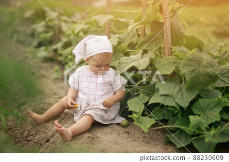 girl, kid, garden 88230609