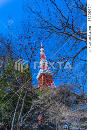東京塔,從紅葉谷看到的旅遊勝地,“東京塔”標題更改 東京塔,從紅葉谷看到的旅遊勝地,“東京塔”標題更改 88230694