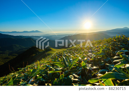 Shinshu Venus Line, the dawn of Mt. Miune 88230715