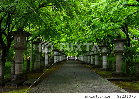 有藍色秋葉的廣山寺 88231079