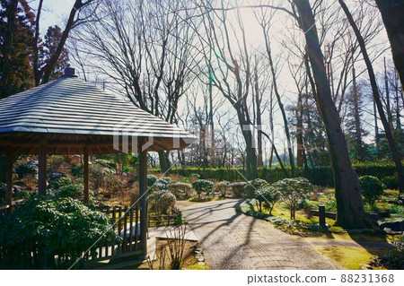 新年前後 新年前後 88231368