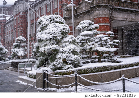 《東京》白雪皚皚的東京站，大雪中的丸之內 88231839