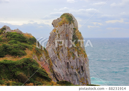 壹岐島上的猿井和 壹岐島上的猿井和 88231914