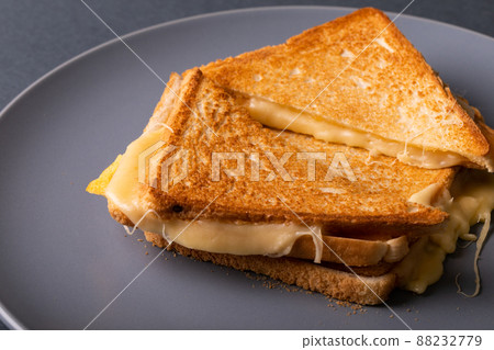 High angle view of fresh toast cheese sandwich serving in plate High angle view of fresh toast cheese sandwich serving in plate 88232779