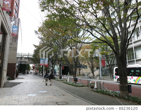 Roppongi Keyakizaka Dori in Autumn 88236120