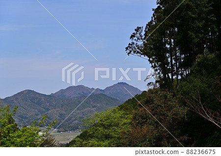 從白賀山 從白賀山 88236675