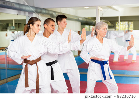 People of different ages performing kata in gym 88236716