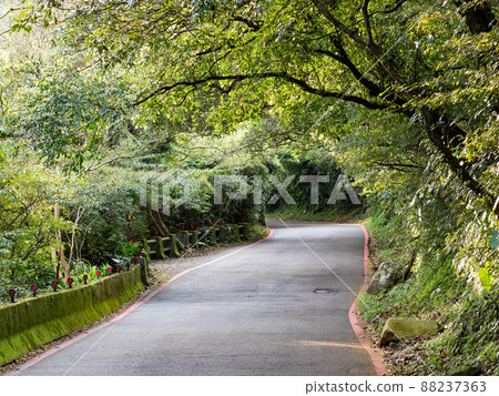 台北（陽明山）大屯自然公園，一條美麗的綠色林道。 88237363