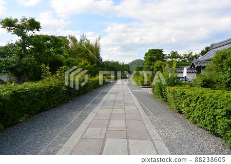 Fresh green cobblestone approach 88238605