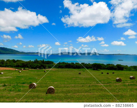 八良布岳半島牧場卷景觀 八良布岳半島牧場卷景觀 88238665