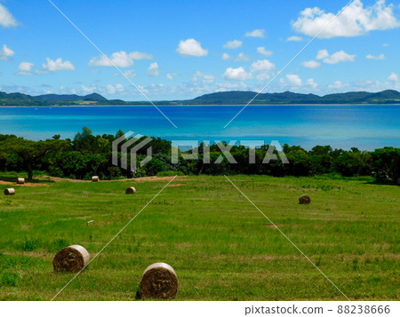 八良布岳半島牧場卷景觀 88238666