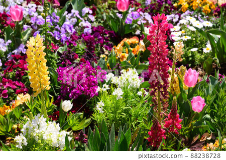 春暖花開的橫濱里山庭園 88238728