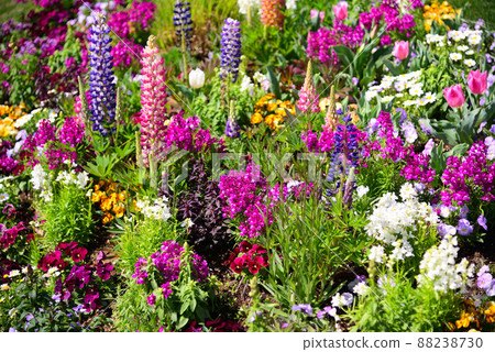 春暖花開的橫濱里山庭園 88238730