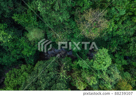 road and green trees from above in the summer forest road and green trees from above in the summer forest 88239107