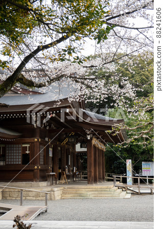 [Aichi Prefecture] Toga Shrine 88241606