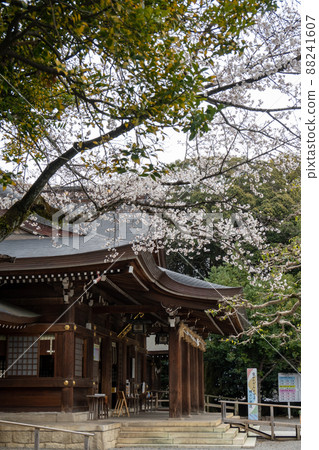 [Aichi Prefecture] Toga Shrine 88241607