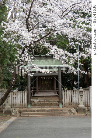 [愛知縣]利賀神社 88241636