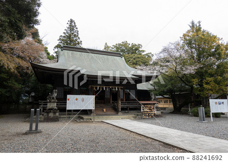 [Aichi Prefecture] Toga Shrine 88241692