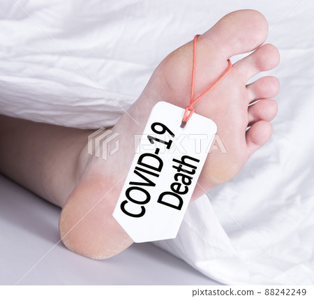 Body with toe tag on white 88242249