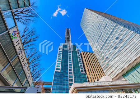 埼玉縣埼玉市多摩阿里鎮櫸樹廣場 88243172