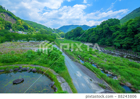 Watarase Valley, Watarase River, near Mizunuma Station, upstream view from Kurohone Ohashi, early summer scenery 88243806
