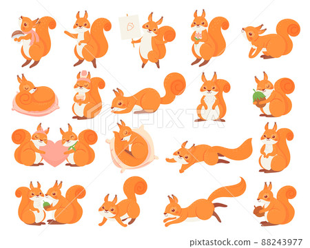 Cartoon squirrel collection poses, happy and love 88243977