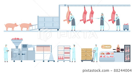 Pork meat production conveyor from farm pig to butcher shop. Butchery manufacture process stage. Sausage product industry vector infographic 88244004