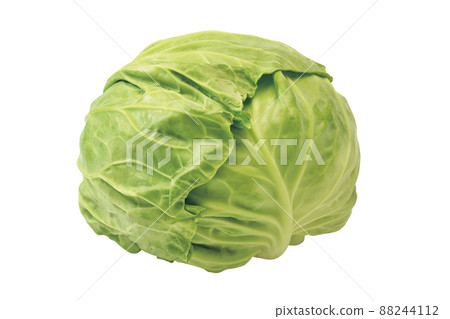Spring cabbage_03 (with pass) Spring cabbage_03 (with pass) 88244112