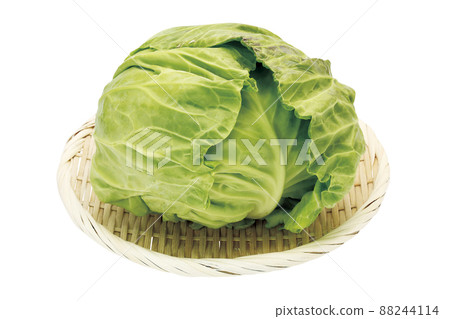 Spring cabbage_04 (with pass) Spring cabbage_04 (with pass) 88244114